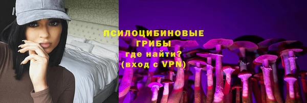прущие грибы Медвежьегорск