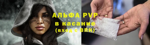 прущие грибы Медвежьегорск