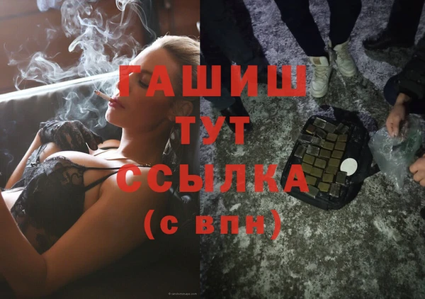 прущие грибы Медвежьегорск