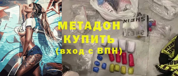 прущие грибы Медвежьегорск
