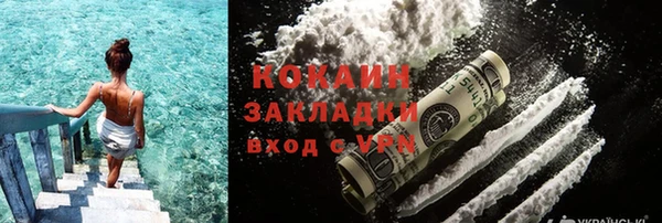 прущие грибы Медвежьегорск