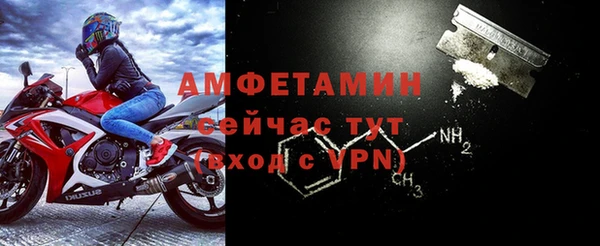 прущие грибы Медвежьегорск