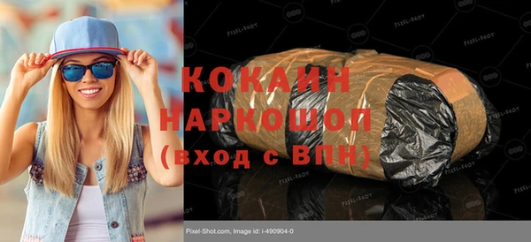 прущие грибы Медвежьегорск