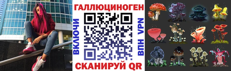 Галлюциногенные грибы Psilocybe  Котельнич 